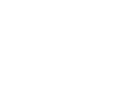 Reason 05