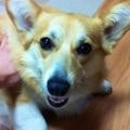 undefined undefinedさんの自己紹介・趣味