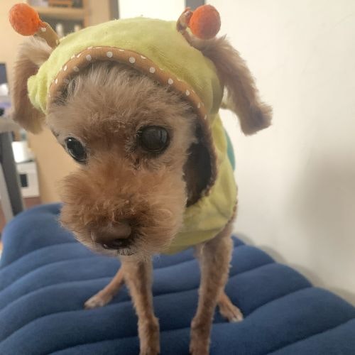 undefined undefinedさんの自己紹介・趣味